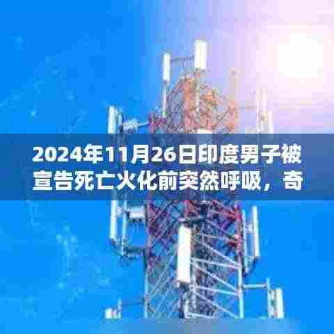 运输网络 第367页