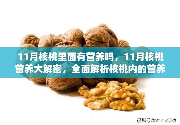 揭秘十一月核桃的营养秘密,全面解析核桃营养价值与食用指南