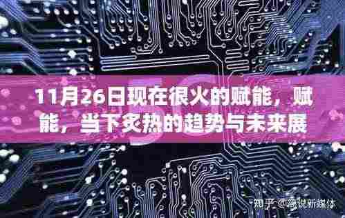 当下炙热趋势,赋能的未来展望与特别聚焦(11月26日深度解析)