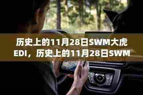 历史上的11月28日SWM大虎EDI事件,深度解析与立场表达