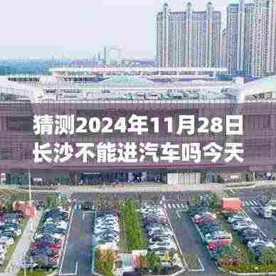 运输网络 第358页