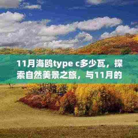 探索自然美景之旅，揭秘11月海鸥Type-C功率与共舞的自然体验