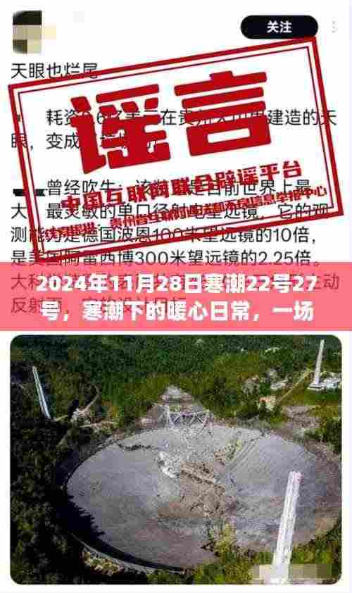 寒潮下的暖心日常，一场不期而遇的冬日趣事，记录于2024年11月28日