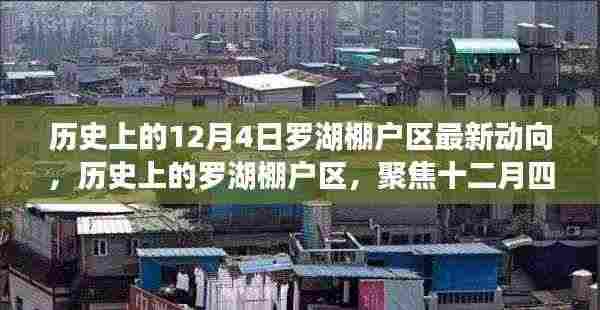 历史上的罗湖棚户区,聚焦十二月四日的最新动向与观点碰撞