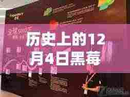揭秘历史巷弄中的黑莓秘境,12月4日最新动态探索与特色小店盘点