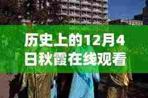 历史上的12月4日秋霞心灵之旅,在线观看启程寻找内心的宁静与美景