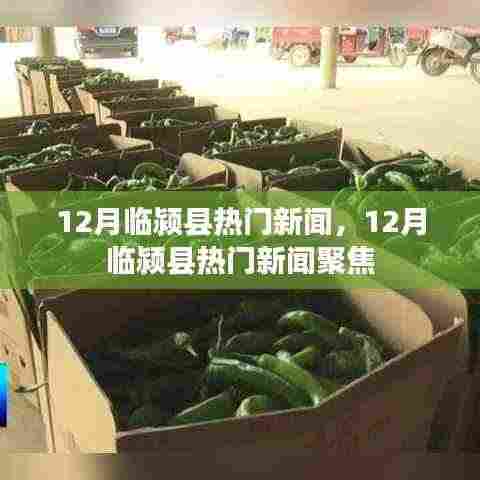 临颍县十二月热门新闻聚焦