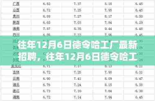 往年12月6日德令哈工厂最新招聘解析,人才招聘的利弊与个人观点