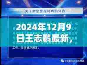 王志鹏任务指南,从入门到精通——最新教程(2024年12月9日版)
