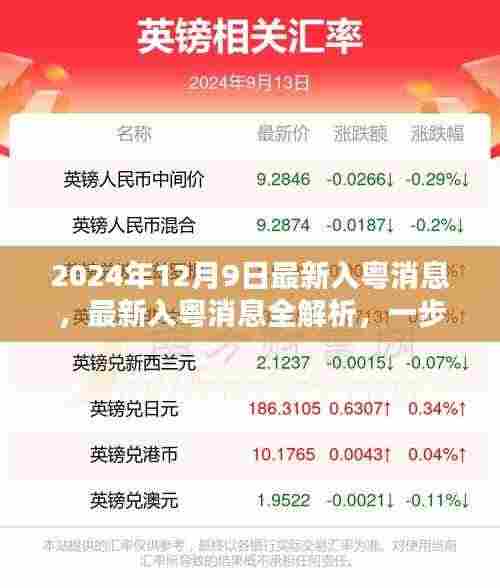 2024年最新入粤消息全解析,掌握必备技能与知识的步骤