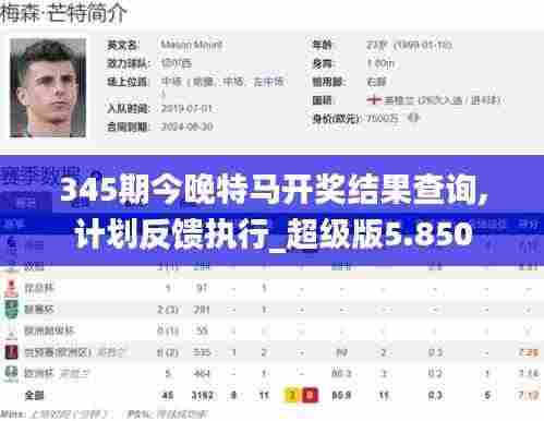 345期今晚特马开奖结果查询,计划反馈执行_超级版5.850