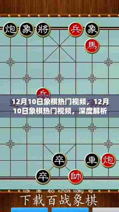 深度解析象棋热门视频,某某观点的价值与意义——12月10日专刊