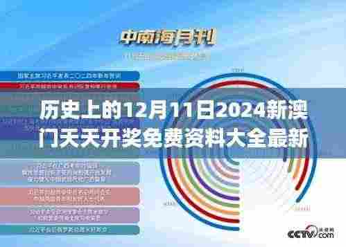 历史上的12月11日2024新澳门天天开奖免费资料大全最新,精细执行计划_Premium3.464