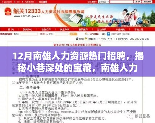 揭秘南雄人力资源招聘背后的特色小店故事,小巷深处的宝藏职位招聘季