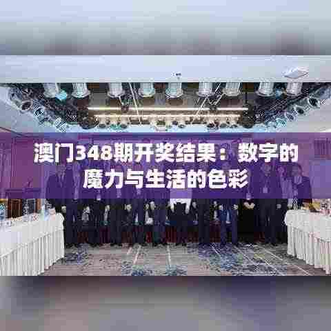 澳门348期开奖结果:数字的魔力与生活的色彩