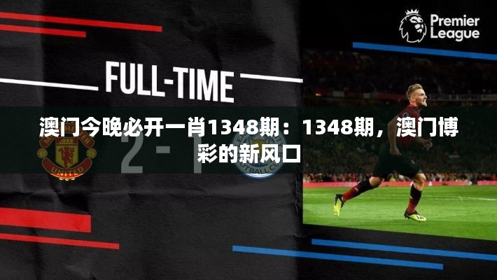 澳门今晚必开一肖1348期:1348期,澳门博彩的新风口