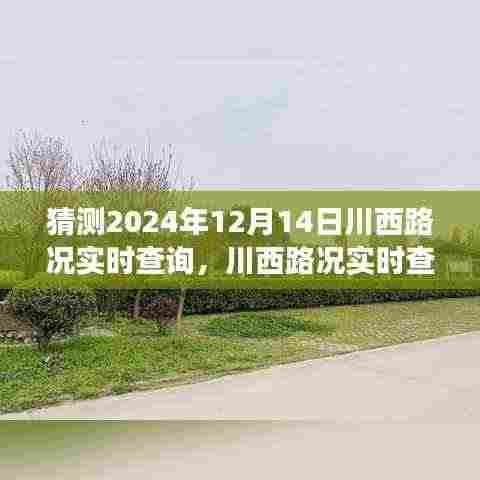 真独简贵 第4页