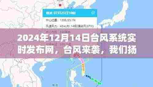 台风来袭,扬帆起航,体验海上自信与成就之旅的实时记录