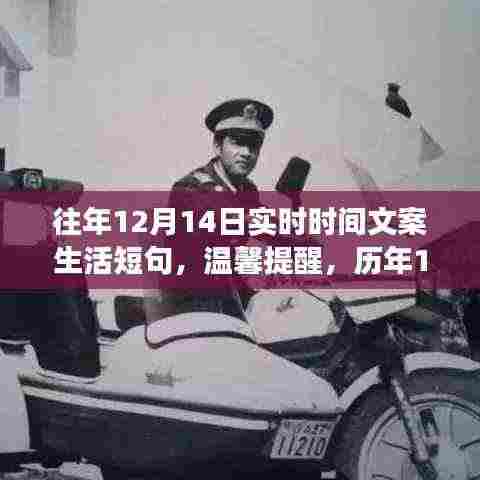 历年12月14日的温馨时光,感受美好瞬间与小确幸的流转