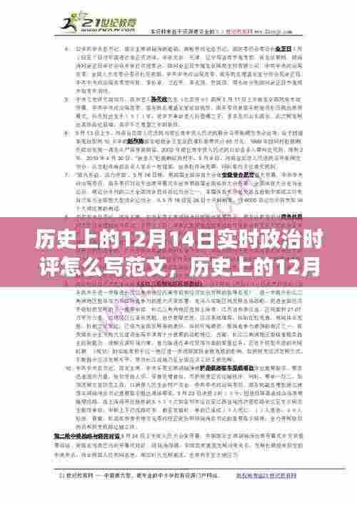 历史上的12月14日政治时评撰写指南,特性、体验、竞品对比与用户分析全解析