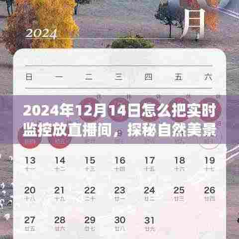 探秘自然美景,2024年12月14日直播之旅,带你远离尘嚣,发现内心宁静与实时监控的直播体验