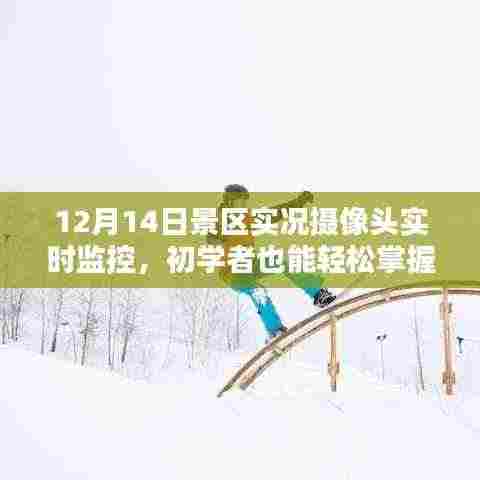 12月14日景区实时监控摄像头使用指南，初学者也能轻松掌握