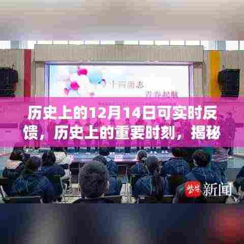 揭秘十二月十四日的独特印记,历史上的重要时刻实时反馈