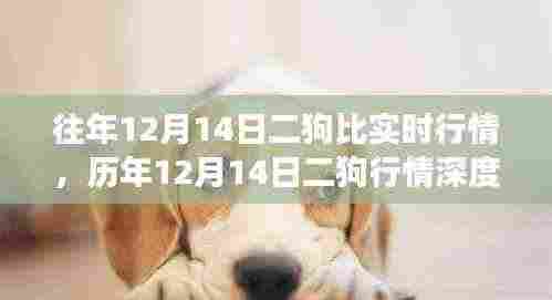 历年12月14日二狗行情深度解析,背景、事件与影响概览