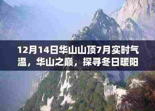 华山冬日暖阳美食探寻，山顶隐秘美食天堂与特色小店揭秘