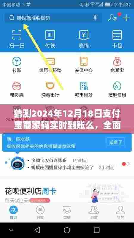 全面评测支付宝商家码实时到账功能,预测分析至2024年12月18日的实时到账情况展望
