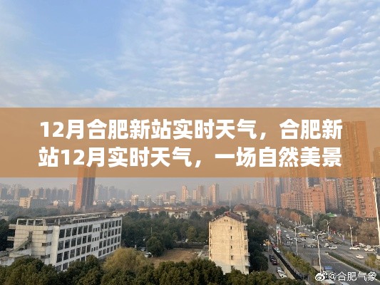 合肥新站12月实时天气探索之旅,自然美景与内心宁静的寻觅
