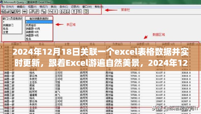 跟着Excel游遍自然美景,实时更新数据的心灵之旅(2024年12月)