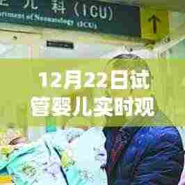 冬日暖阳下的生命奇迹,试管婴儿实时观察与爱的传递