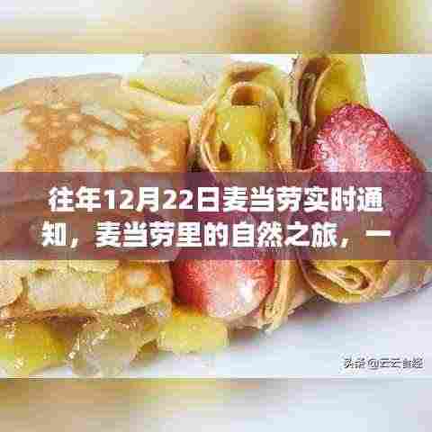 麦当劳里的自然之旅,寻找内心平静的奇妙冒险之旅