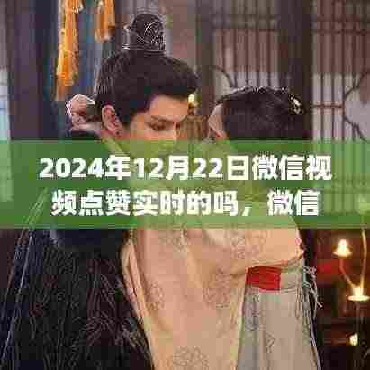 微信视频点赞实时性解析,聚焦2024年12月22日的数据表现与实时更新特点