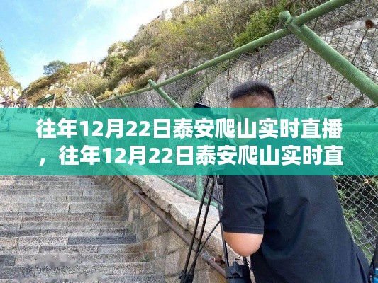 泰安爬山体验与挑战,实时直播下的选择,哪种更值得提倡?