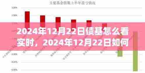 步步为赢策略指南,解读债基市场动态与实时查看债基走势的实用指南(2024年12月22日)