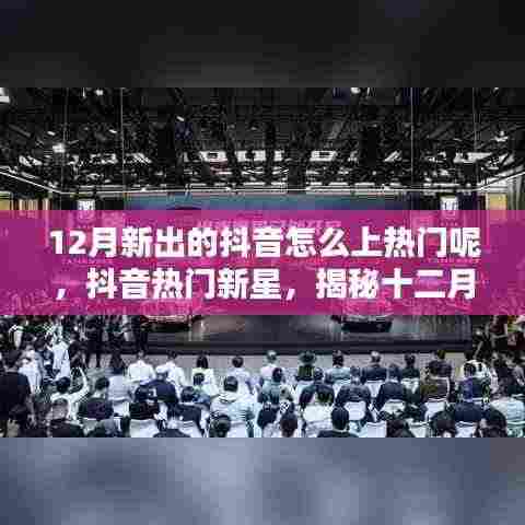 揭秘抖音热门新星,十二月科技新品引领潮流新纪元!