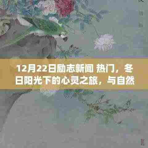 励志新闻回顾，冬日心灵之旅启程，与自然美景的不解之缘，寻找内心的宁静与力量