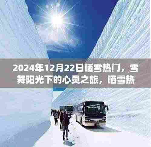 雪舞阳光下的心灵之旅，启程追寻内心的宁静与平和（晒雪热门）