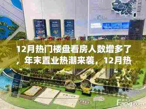 年末置业热潮来袭,揭秘12月热门楼盘看房人数激增现象解读