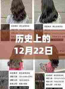 历史上的染发潮流回顾,12月22日热门染发推荐与详细教程,适合初学者与进阶用户参考