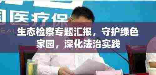 生态检察专题汇报,守护绿色家园,深化法治实践