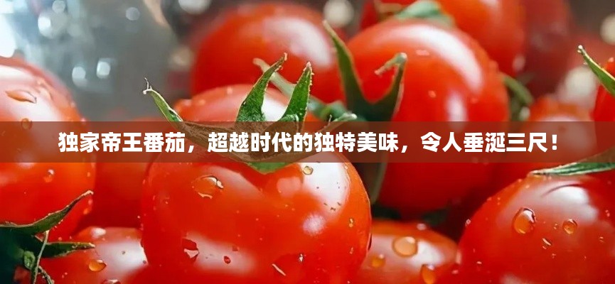 独家帝王番茄,超越时代的独特美味,令人垂涎三尺!
