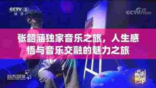 张韶涵独家音乐之旅,人生感悟与音乐交融的魅力之旅