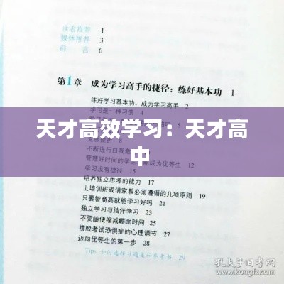 张灯挂彩 第4页