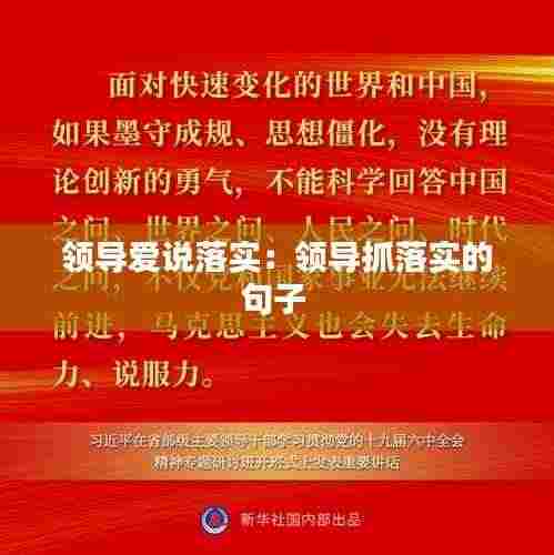 领导爱说落实:领导抓落实的句子