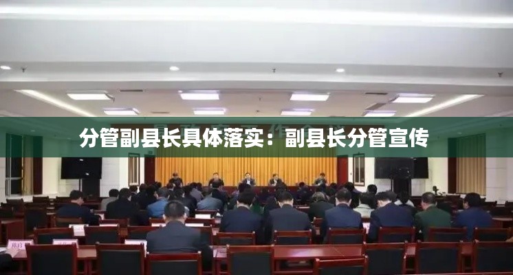分管副县长具体落实：副县长分管宣传 