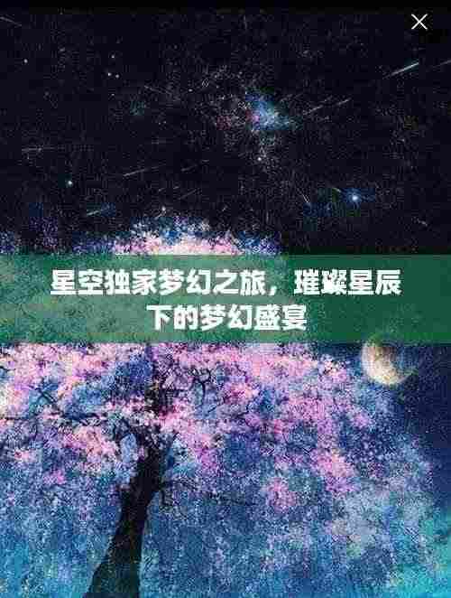 星空独家梦幻之旅,璀璨星辰下的梦幻盛宴