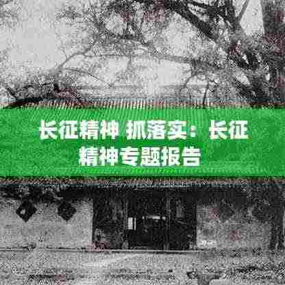 长征精神 抓落实:长征精神专题报告